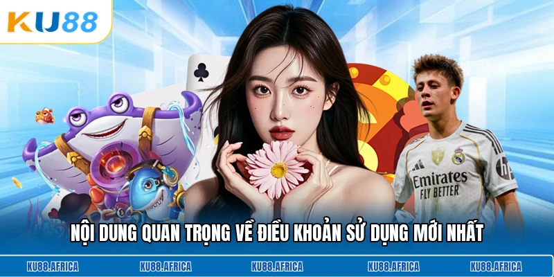Nội dung quan trọng về điều khoản sử dụng mới nhất